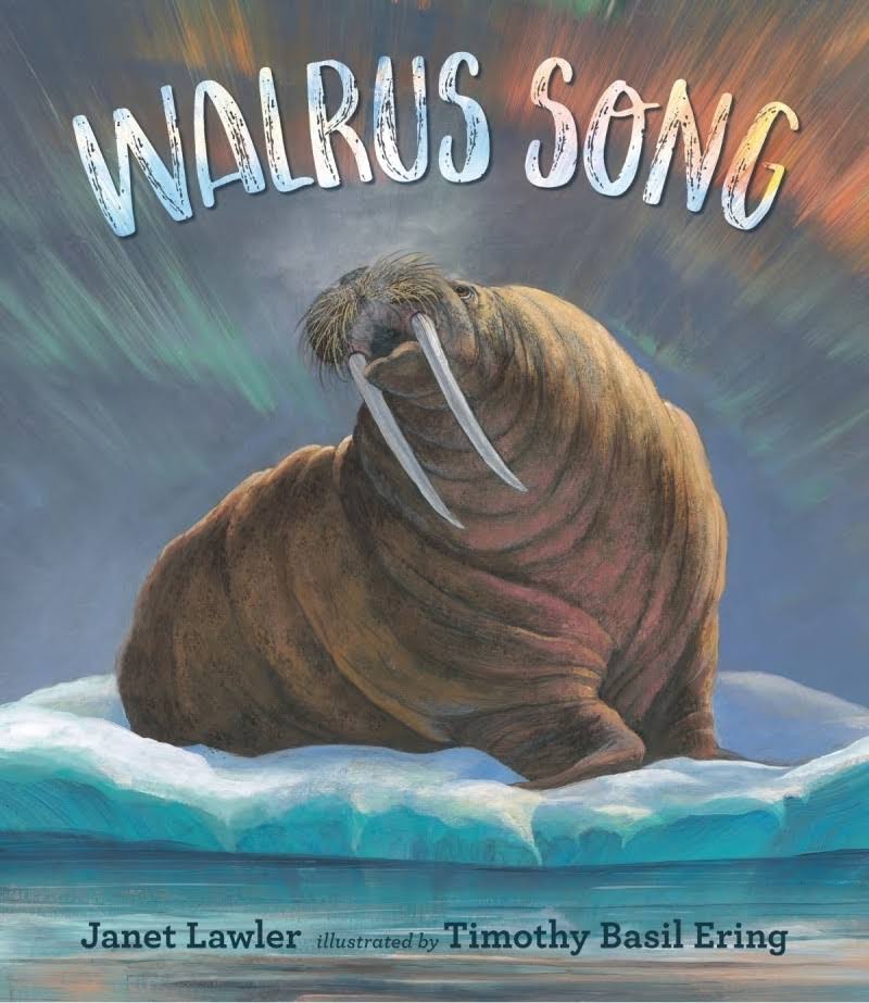 walrus journey episode 11